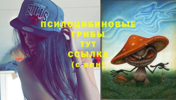 СК Беломорск