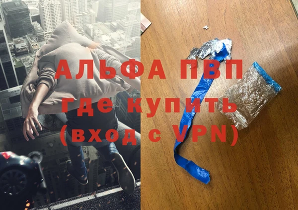 сатива Надым